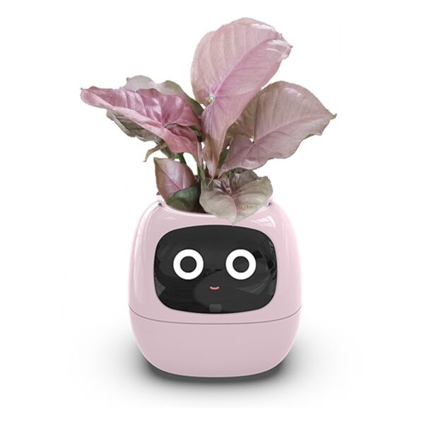 Use the AI Flowerpot by placing your plant inside and connecting to the app. Fill the reservoir, and the pot automatically waters as needed. Monitor light, temperature, and moisture via the app. Receive alerts for any adjustments, ensuring optimal plant health with minimal effort.