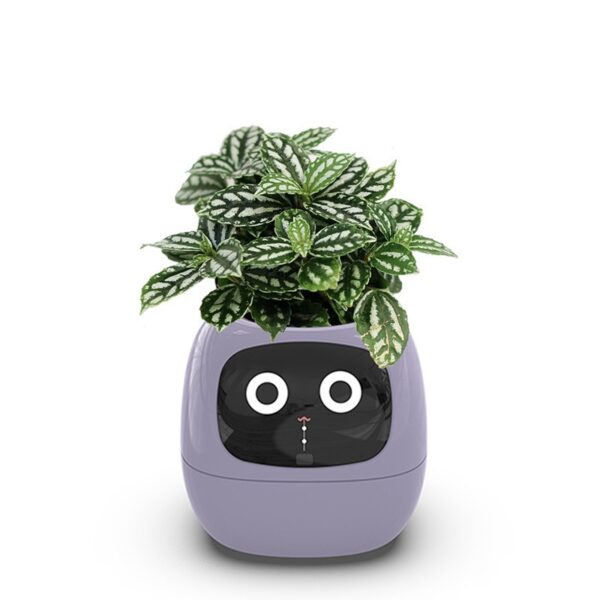 AI Flowerpot - Image 4