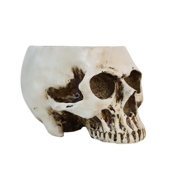 Flowerpot Skull - Image 6